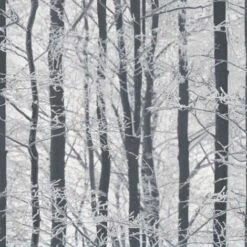 ARTHOUSE Woodland Wallpaper Trees Winter Forest Glitter Sparkle White Grey Black Silver