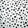 Arthouse Dalmatian Wallpaper (10m X 53cm) (Monochrome)