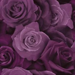 Arthouse Austin Rose Wallpaper (10m X 53cm) (Purple)