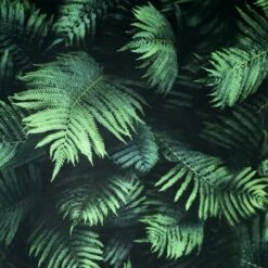 Arthouse Fern Wallpaper (10m X 53cm) (Green/Black)