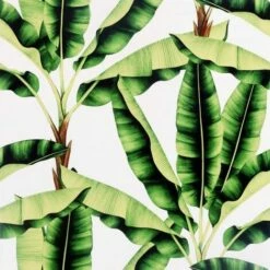 Arthouse Musa Palm Leaf Wallpaper (10m X 53cm) (White/Green)